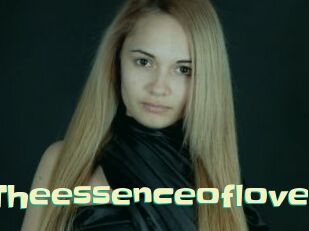 Theessenceoflove