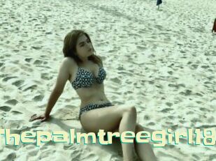 Thepalmtreegirl18