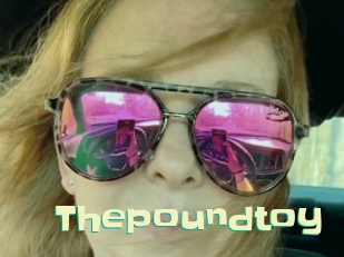Thepoundtoy