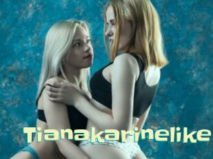 Tianakarinelike