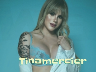 Tinamercier