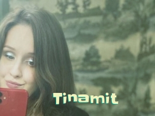 Tinamit