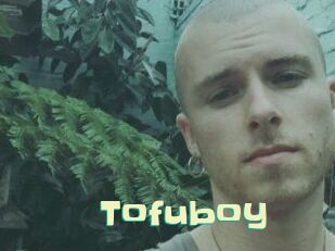 Tofu_boy