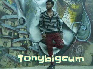 Tonybigcum