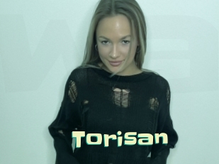Torisan