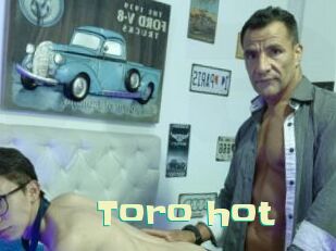 Toro_hot