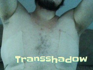 Transshadow