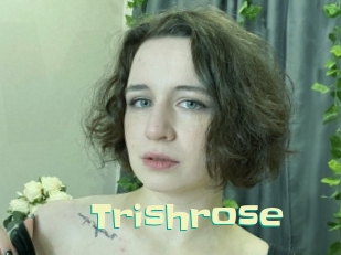 trishrose Wanna Meet