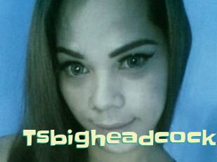 Tsbigheadcock
