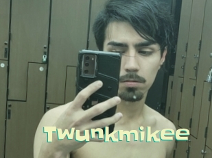 Twunkmikee