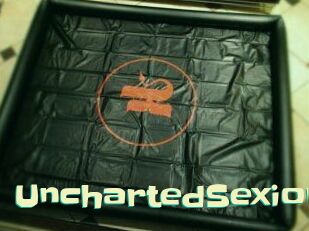 UnchartedSexion