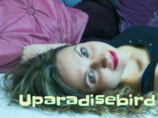 uparadisebird Wanna Meet