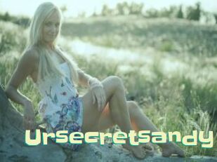 Ursecretsandy