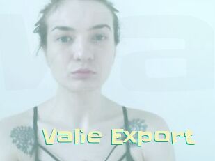 Valie_Export Wanna Meet