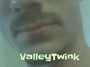 ValleyTwink