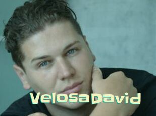 VelosaDavid