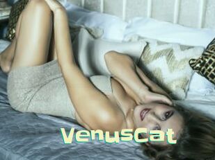 VenusCat