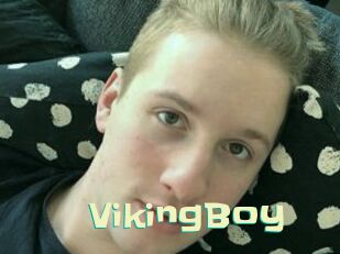 VikingBoy