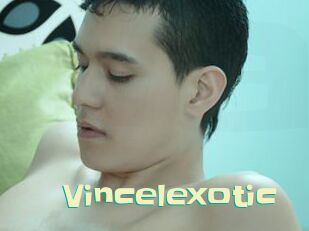 Vincelexotic