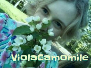 ViolaCamomile