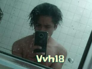 Vvh18 Wanna Meet