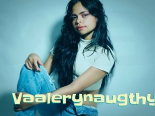 Vaalerynaugthy
