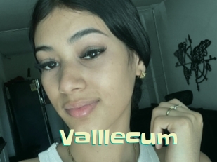 valllecum Wanna Meet