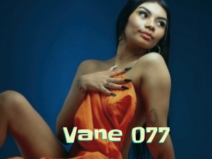 Vane_077