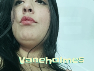 Vaneholmes
