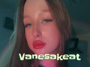 Vanesakeat