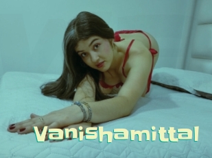 Vanishamittal