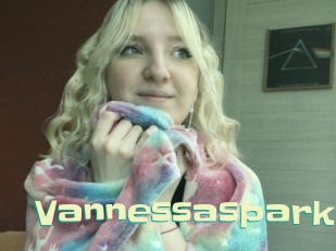 Vannessaspark