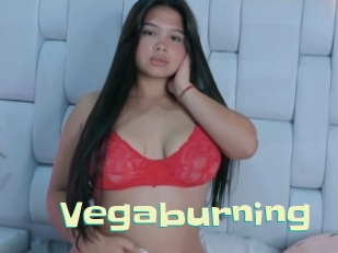 Vegaburning