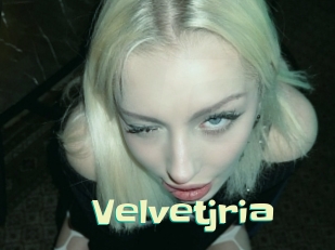 Velvetjria