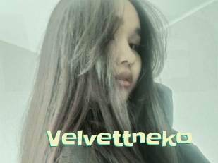 Velvettneko