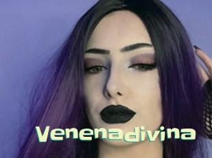Venenadivina