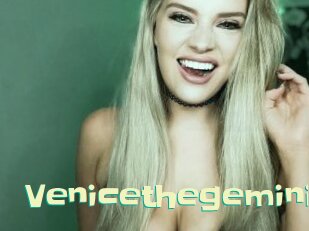 Venicethegemini