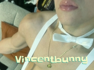 Vincentbunny