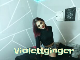 Violettginger