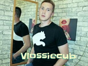 Vlossiecub