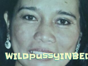 WILDpussyINBED
