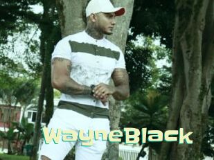 WayneBlack