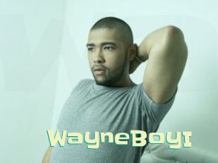WayneBoyI