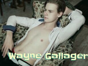 Wayne_Gallager