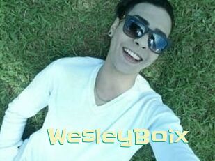 Wesley_Boix
