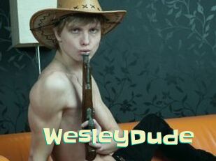 WesleyDude