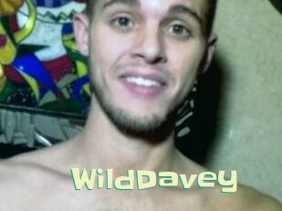 WildDavey