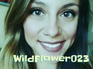 WildFlower023