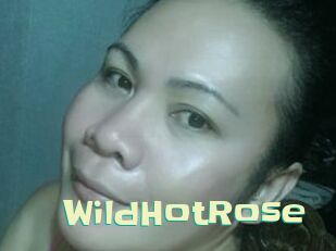WildHotRose