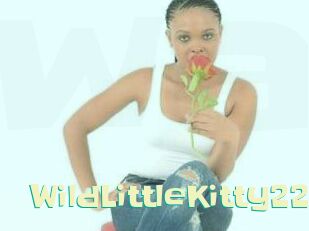 WildLittleKitty22